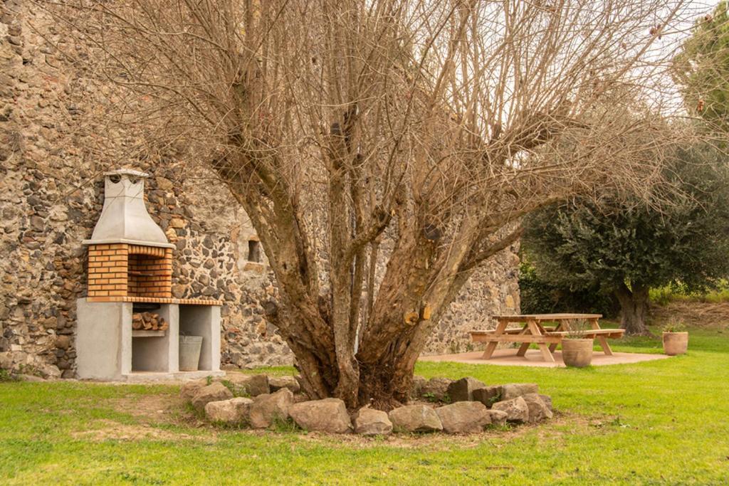 Casa Rural En Rupia Con Piscina Dış mekan fotoğraf